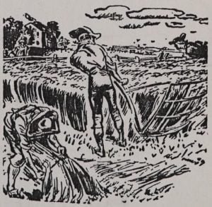 Harvesting